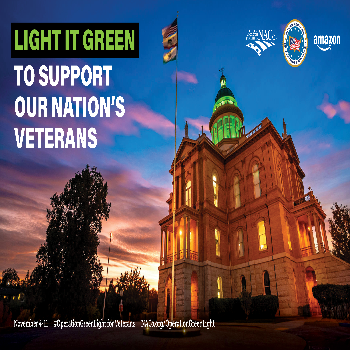 A generic government building with green lights in observance of Operation Green Light