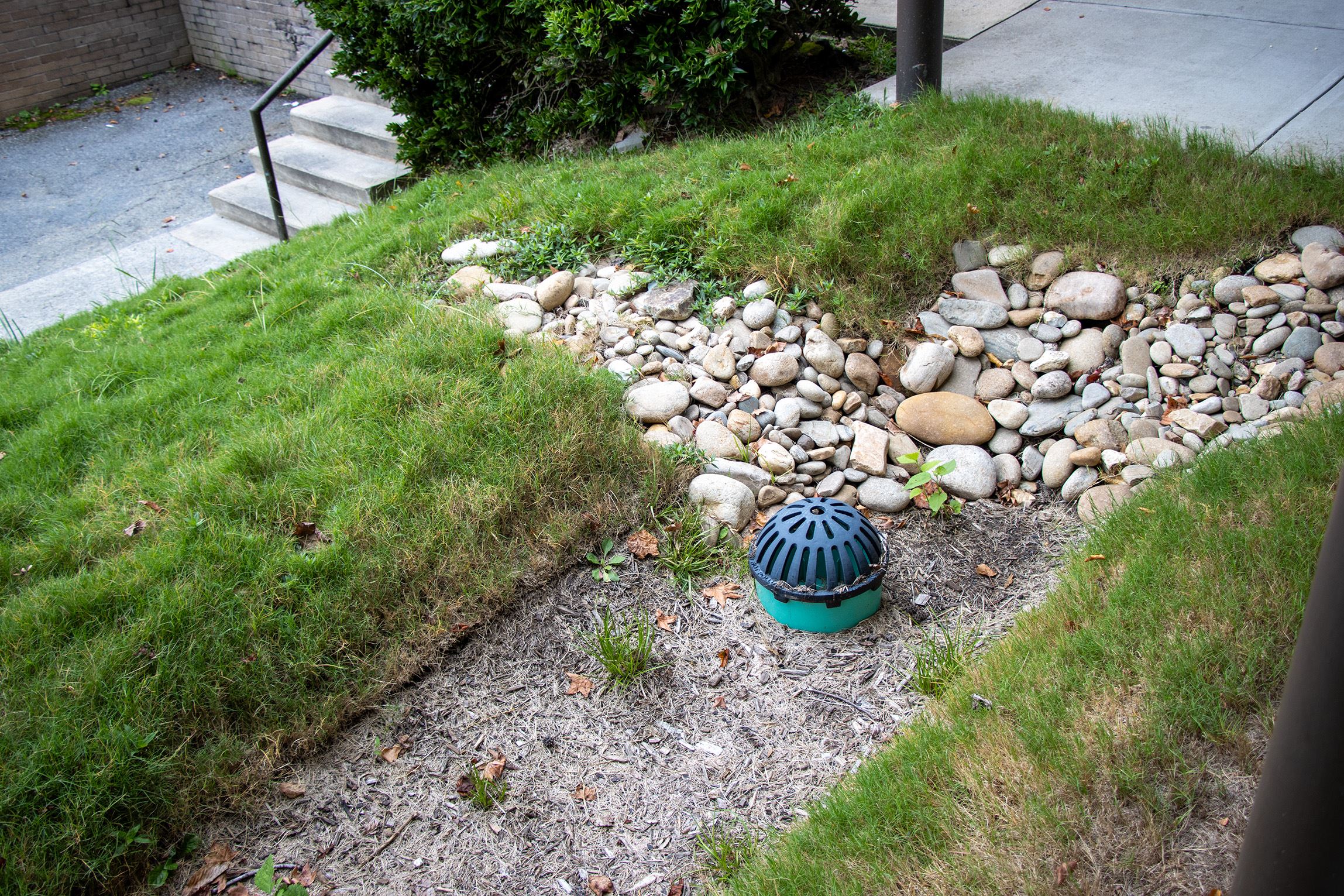 A rain garden located outside of Building 5 at BCCC